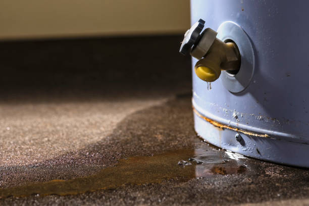 Best Professional water damage repair  in Northwest Harbor, NY
