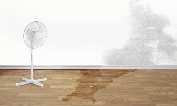 Best Water damage restoration services  in Northwest Harbor, NY