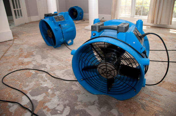 Sewage cleanup and water damage restoration in Northwest Harbor, NY